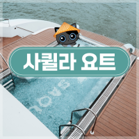 원데이 이미지 5